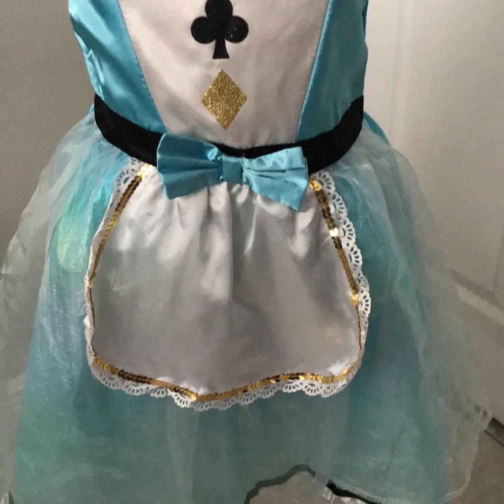 Girl's Miss Alice Storybook Halloween Costume Dress | S 6X